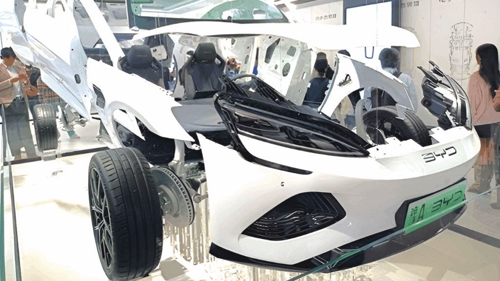 BYD 국내 판매량