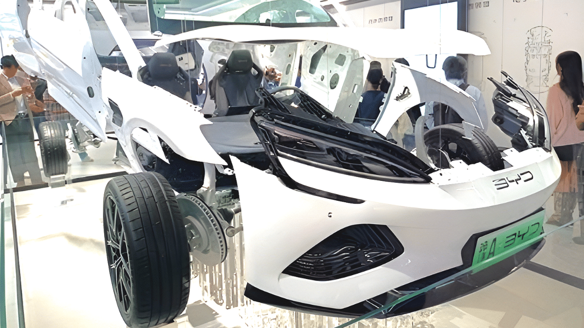 BYD 국내 판매량