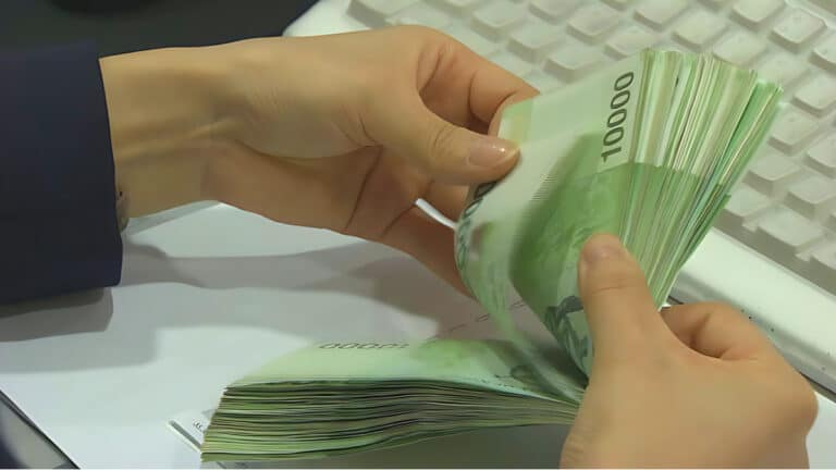 Basic Livelihood Security Grant