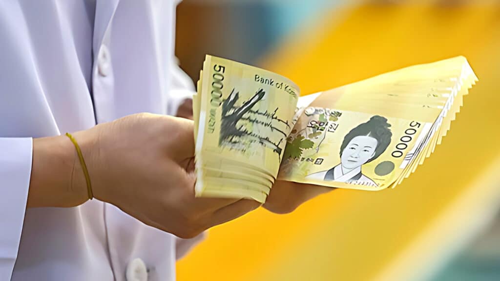 Basic income support