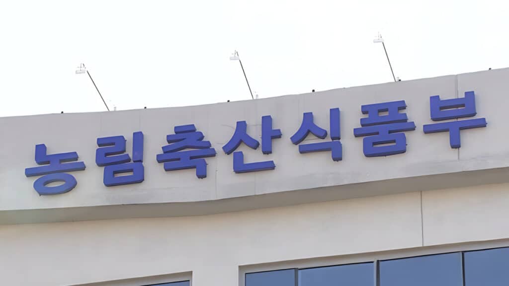 Basic income support (2)