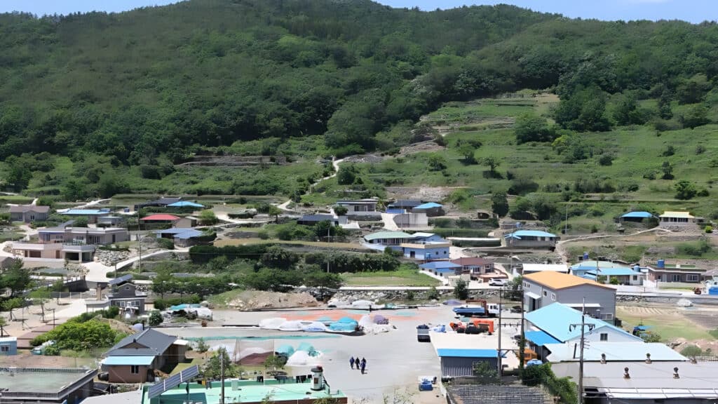 Basic income support (5)