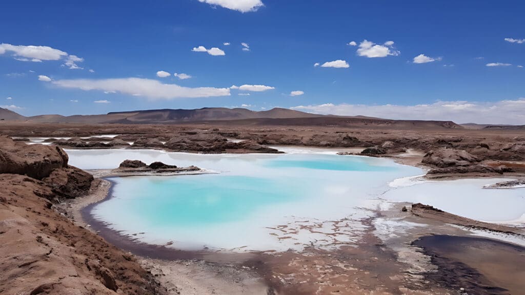 Ecopro shares soars (4)