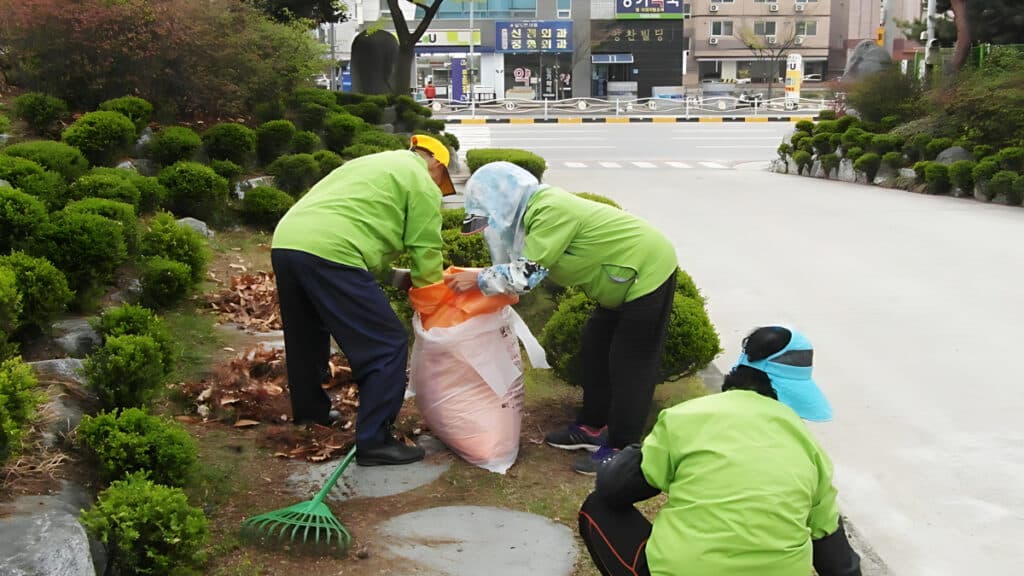 OECD Elderly Employment Rate Korea (6)