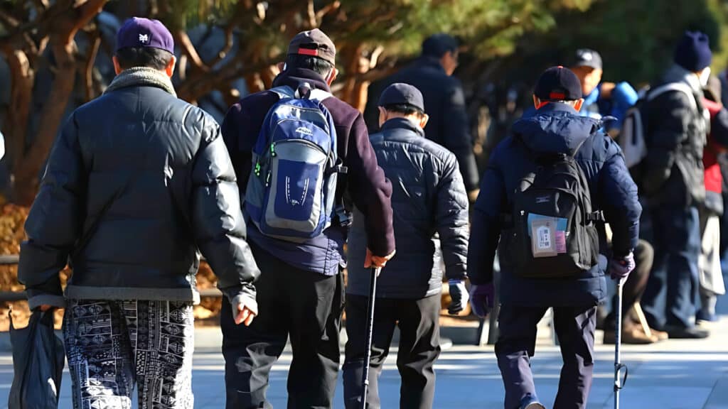 a job program for the elderly