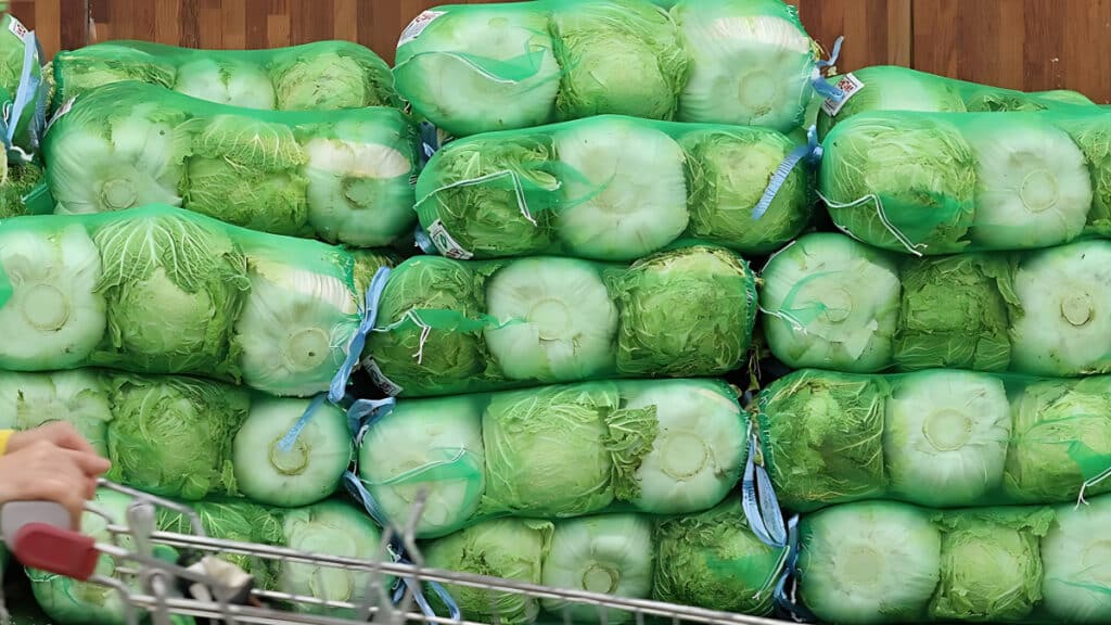 deficit in cabbage trade (2)