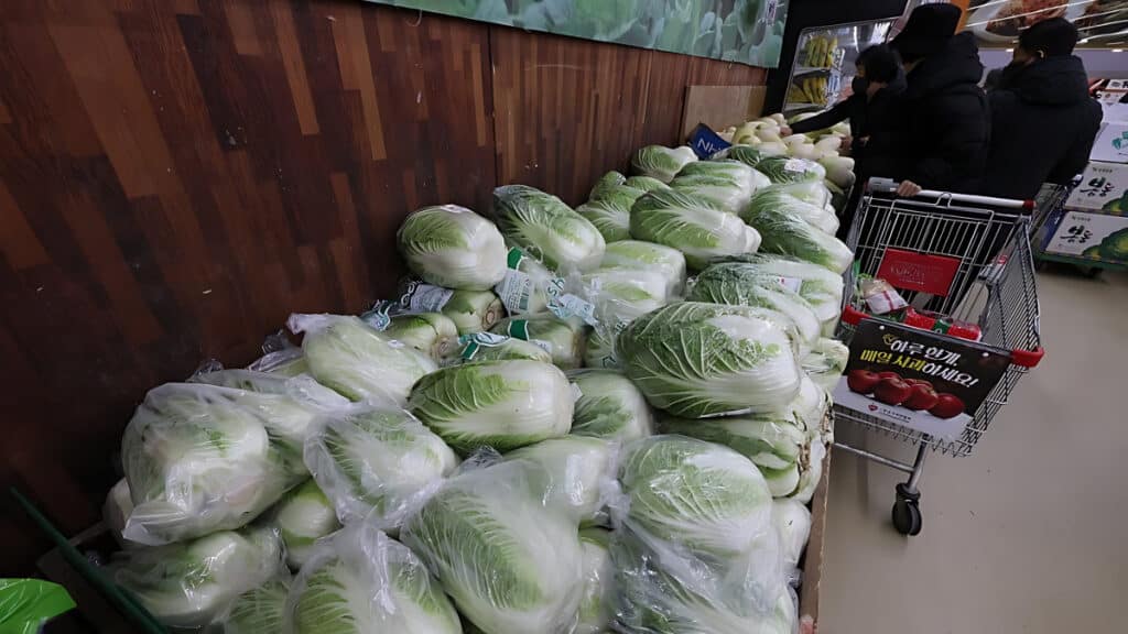 deficit in cabbage trade (3)