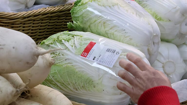 deficit in cabbage trade