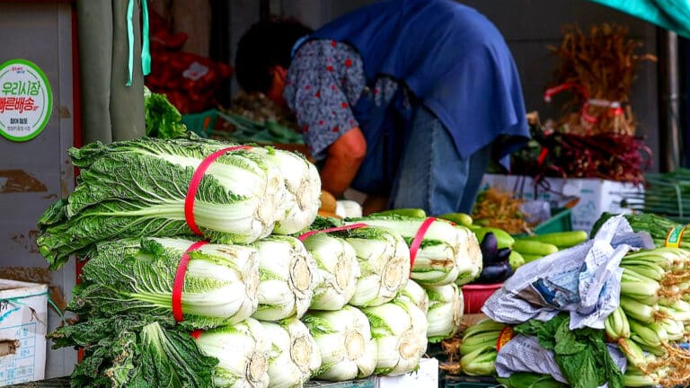 배추 가격 안정세