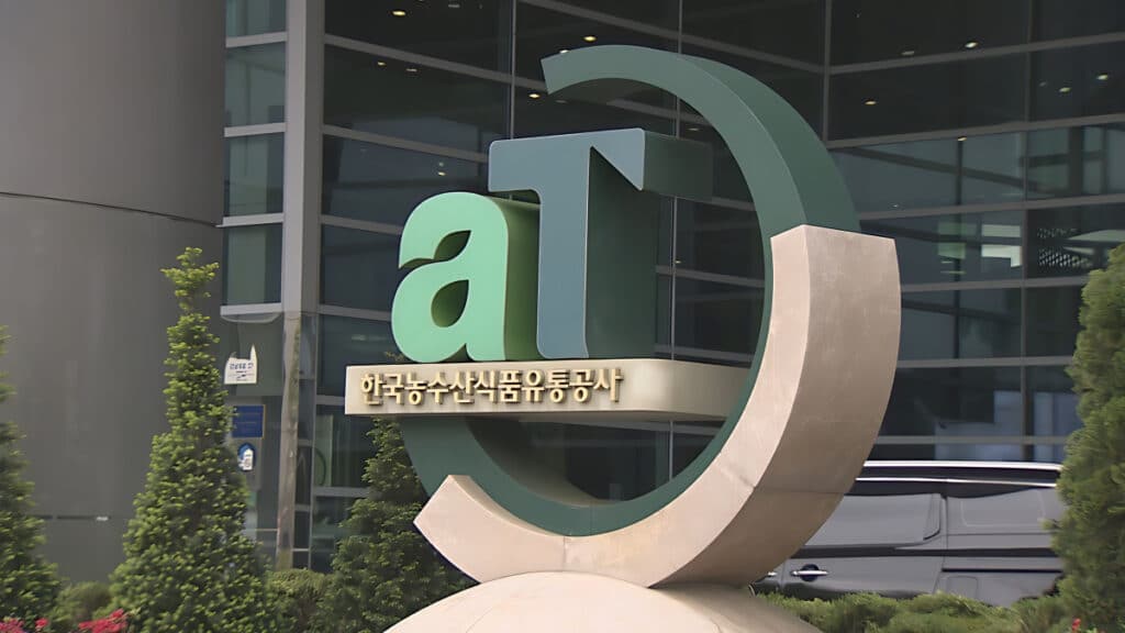 kimchi price reversal government intervention (2)