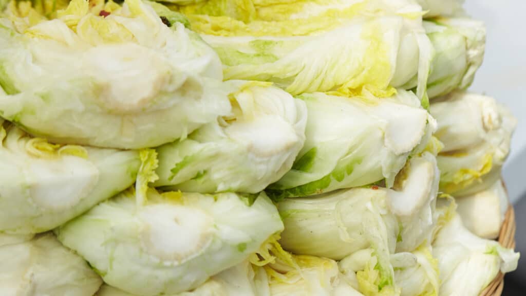 pickled cabbage for kimjang (5)