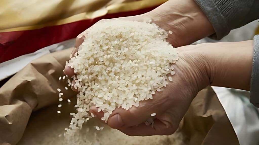 Consumer prices rise in November (4)