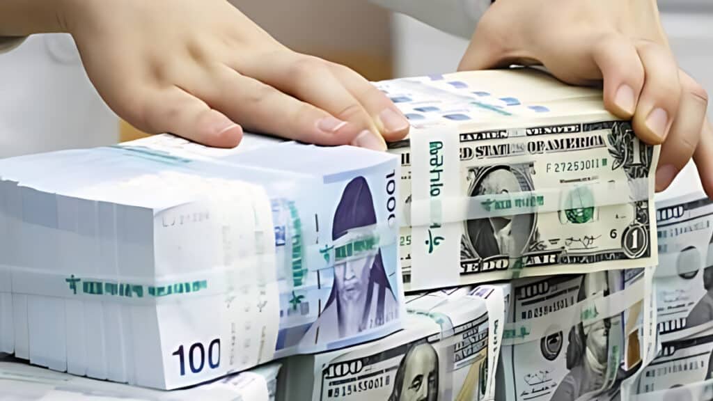 "가지고만 있었는데 부자 됐어요"…기업도 개인도 몰렸다는 '투자처' 어디길래 4 a rise in dollar deposits (4)
