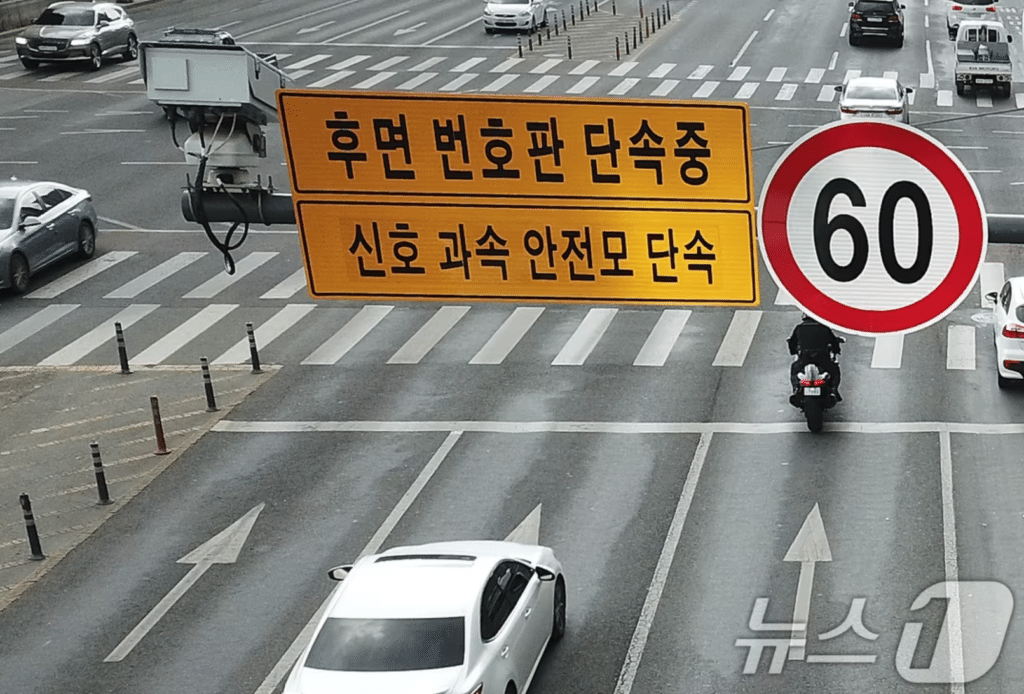 AI 교통 단속 확대