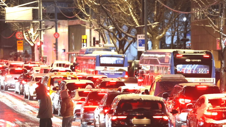 2026년 자동차 보험료 인상