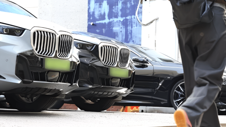 연두색 번호판 법인차 판매량