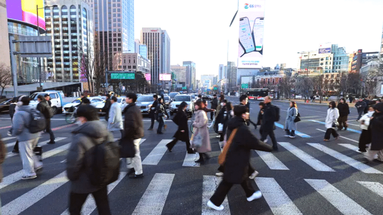 2024년 임금근로 일자리 소득