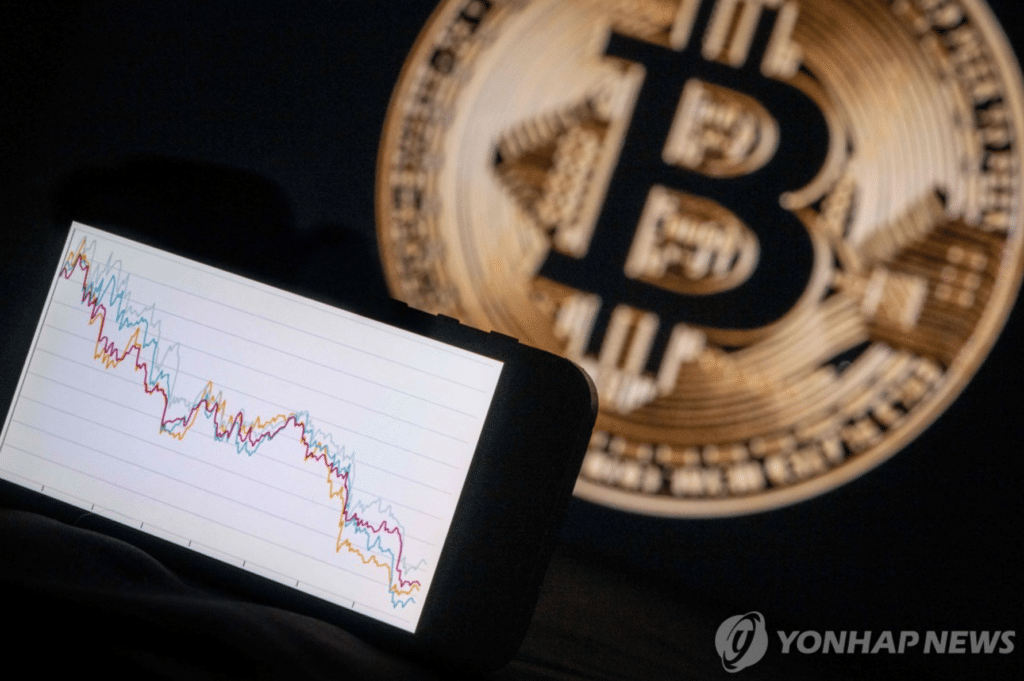 비트코인 하락