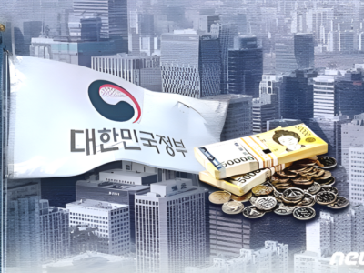 국고보조금 부정수급 적발