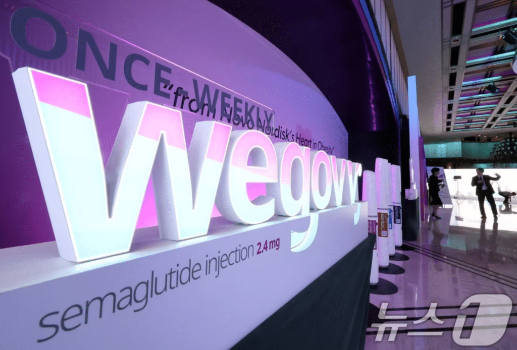 저가 비만치료제 출시 전망