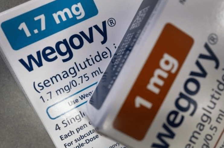 저가 비만치료제 출시 전망