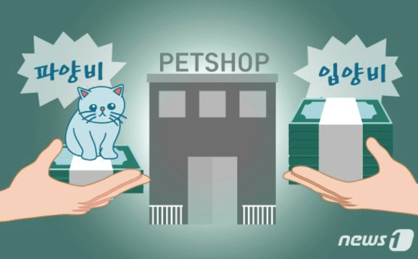 신종 펫샵 제재