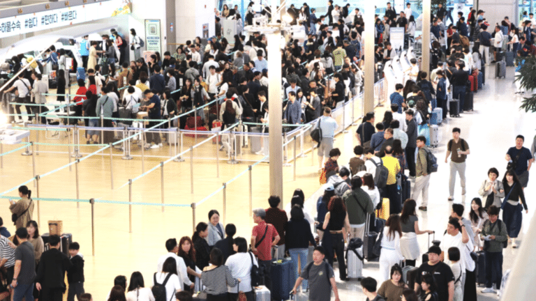 2025년 카드 해외사용금액