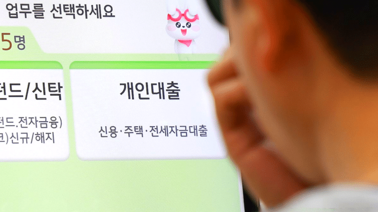 정부 대출 규제