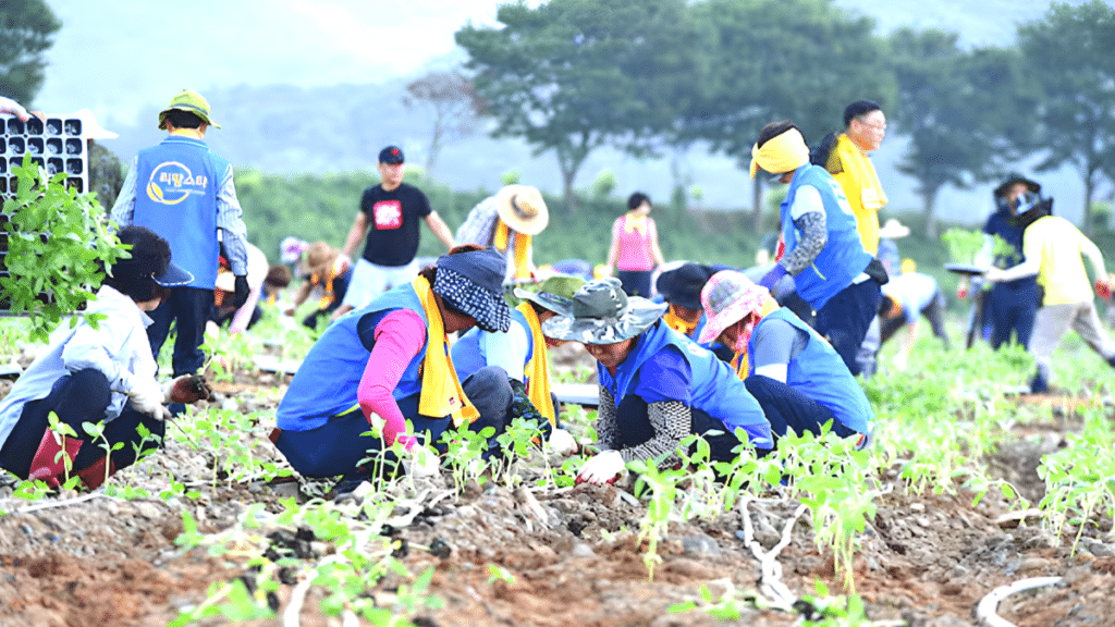 귀농·귀촌가구 10곳 중 7곳 만족