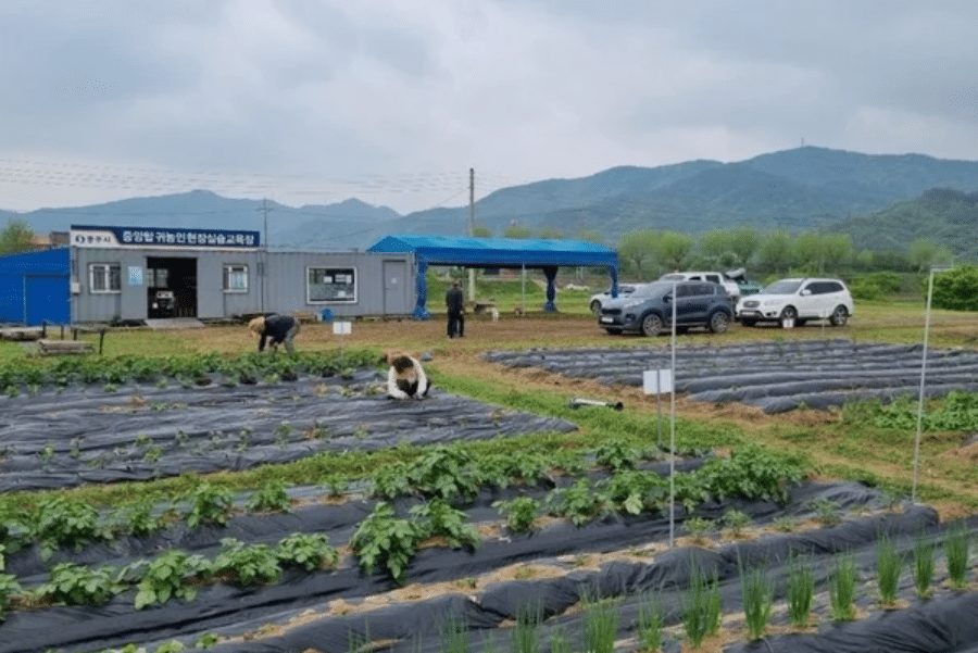 귀농·귀촌가구 연소득
