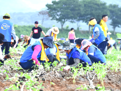 귀농·귀촌가구 10곳 중 7곳 만족