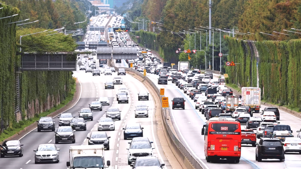 설 연휴 특별교통대책