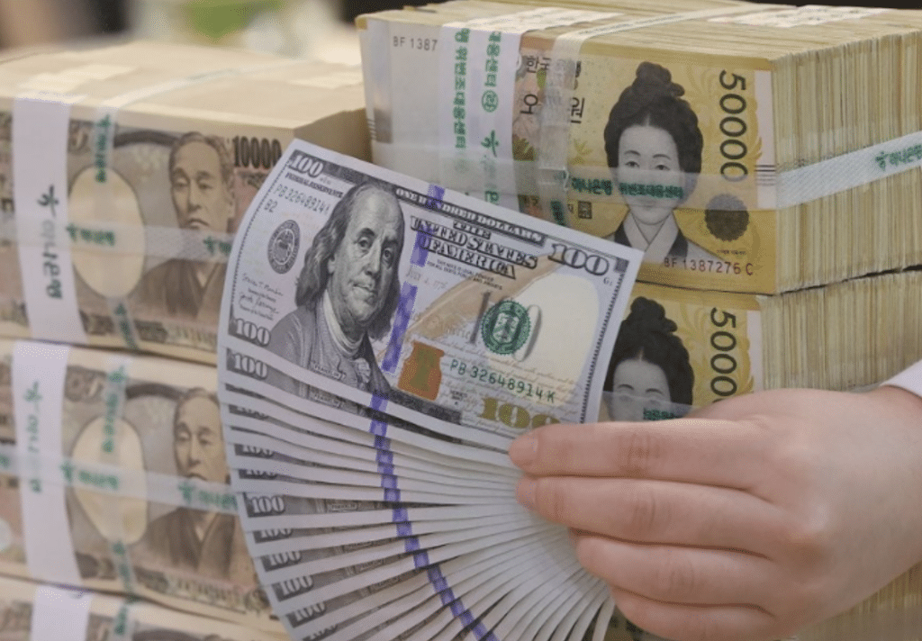 정부 원화 국제화