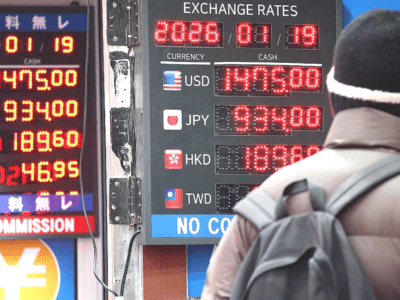 정부 원화 국제화