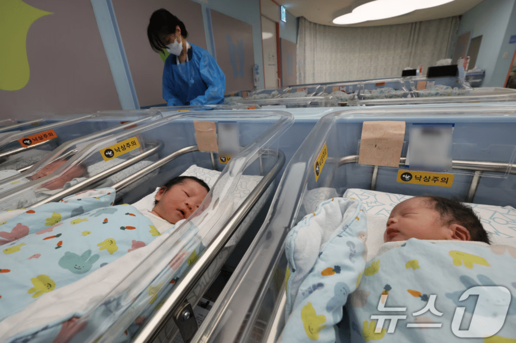 인구 자연 감소 3만명