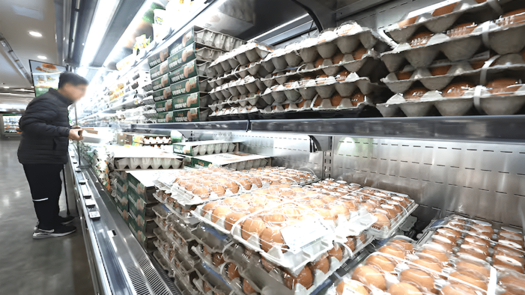 동물복지란 점유율 3배 증가