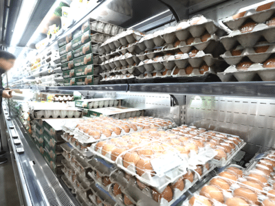 동물복지란 점유율 3배 증가