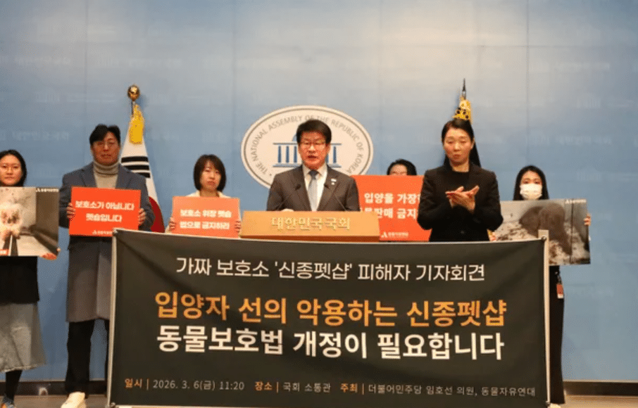 신종 펫숍 피해 폭로