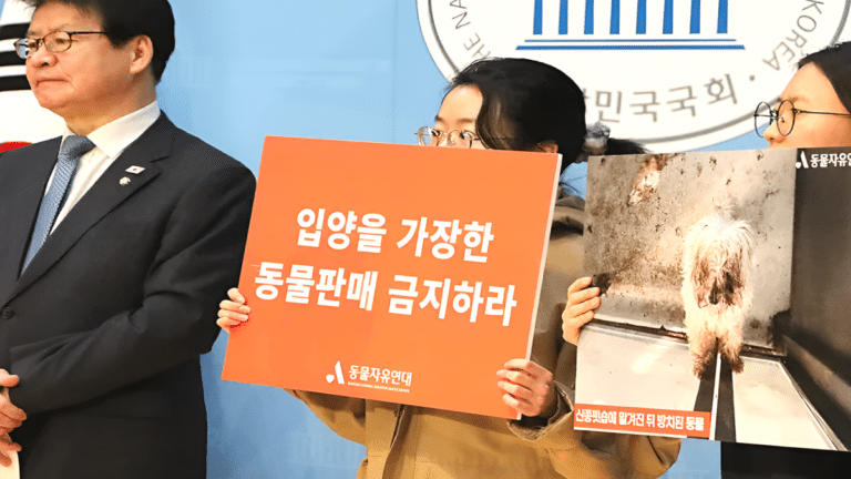 신종 펫숍 피해 폭로