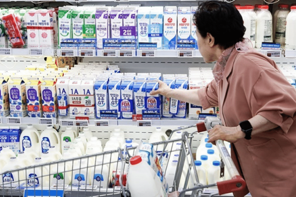 국내 흰 우유 소비량 40년 만에 최저치 기록