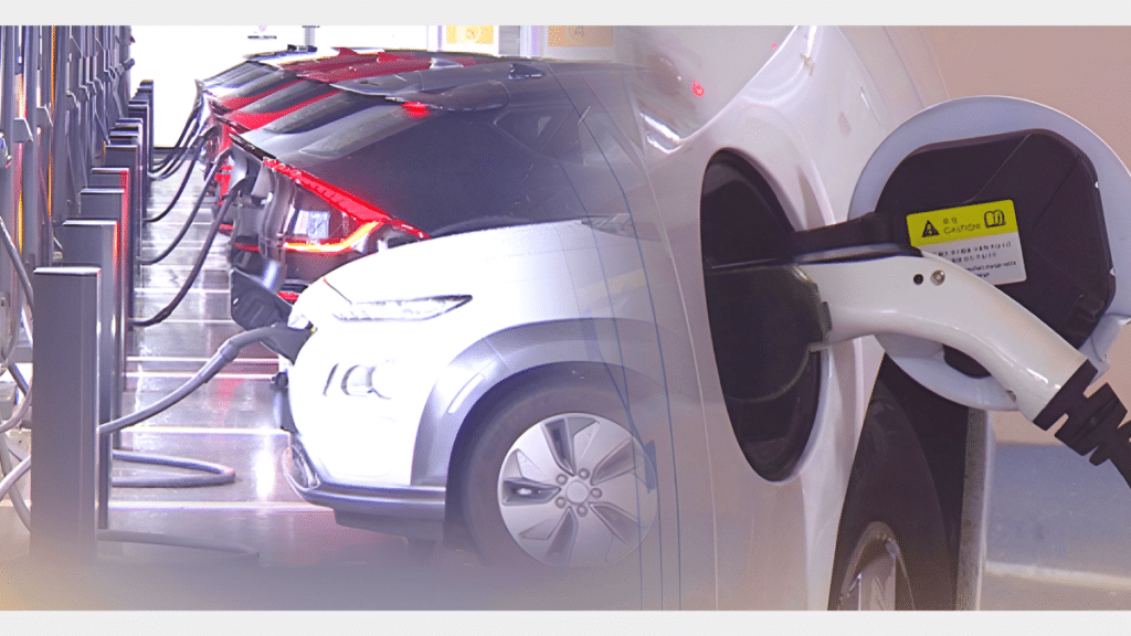 전기차 배터리 정보 공개