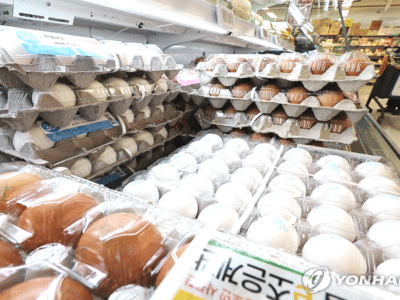 계란·돼지고기 유통구조 개선·관리강화 방안 발표