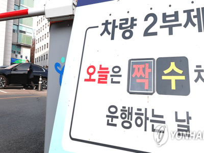 승용차 2부제 시행 검토