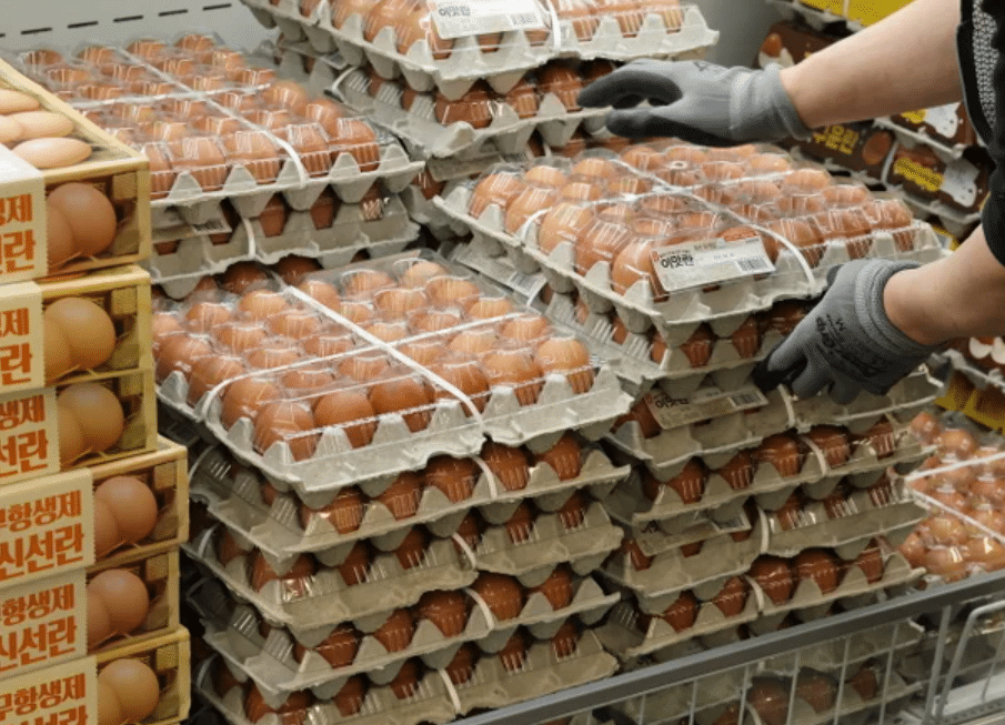 태국산 계란 224만개 수입 추진