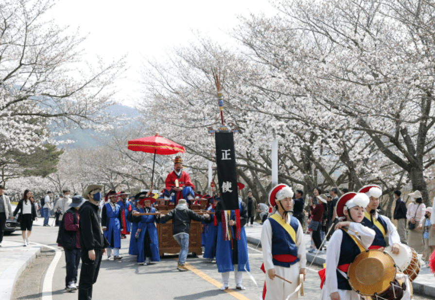대한민국 반값여행 추진