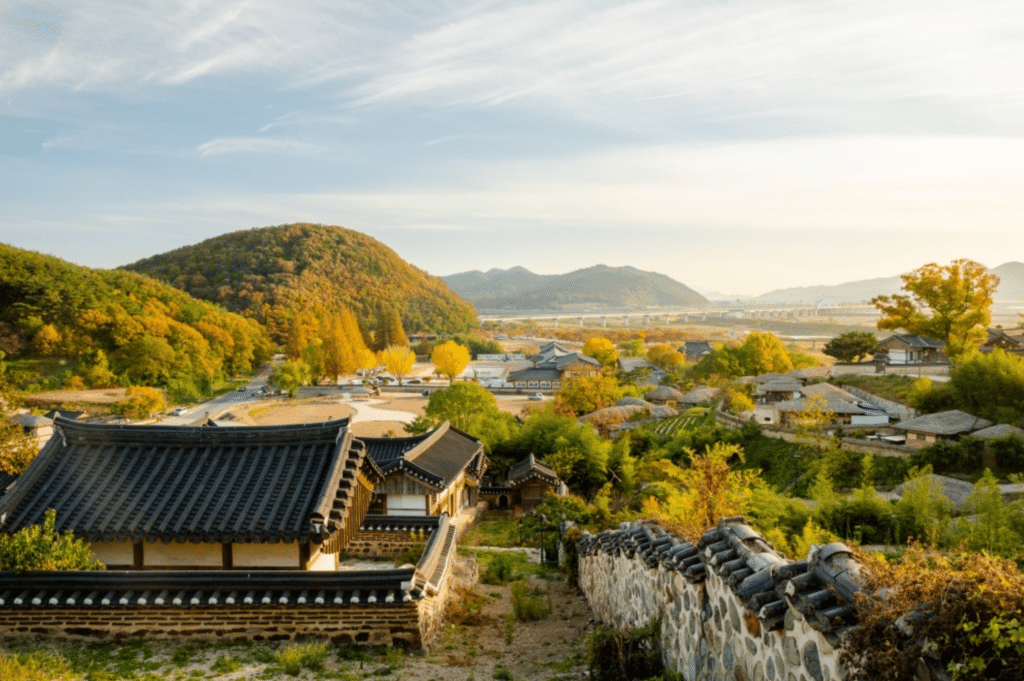 국내 여행 설문조사