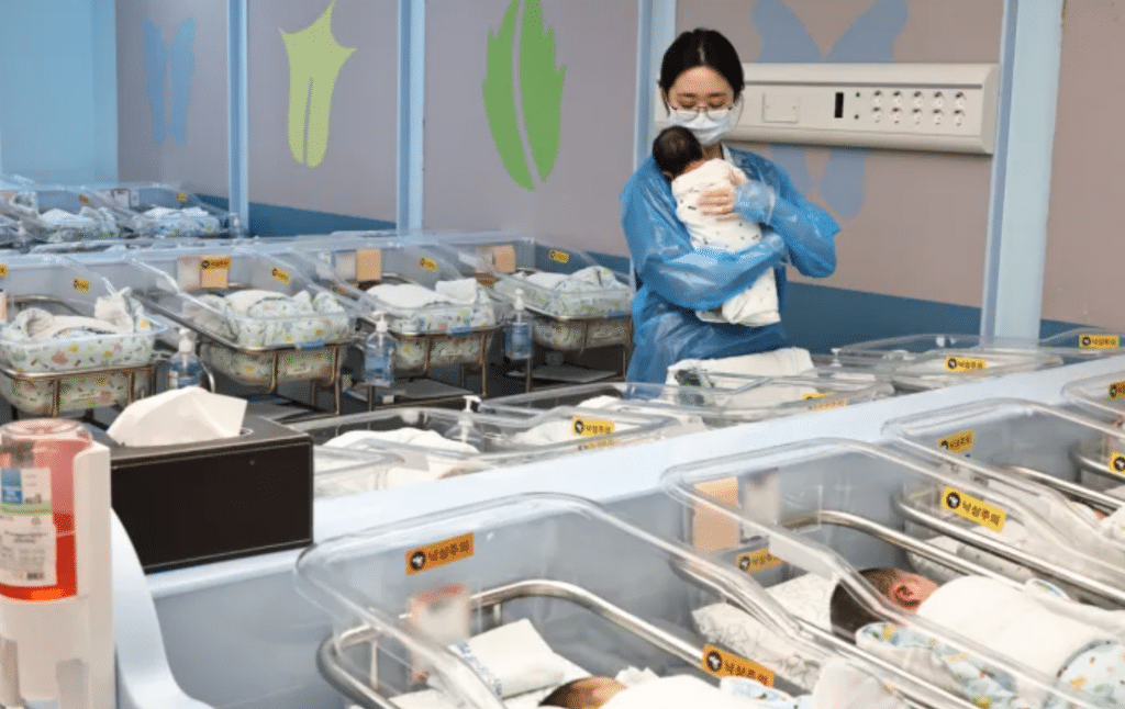 2026년 1월 출생아 수