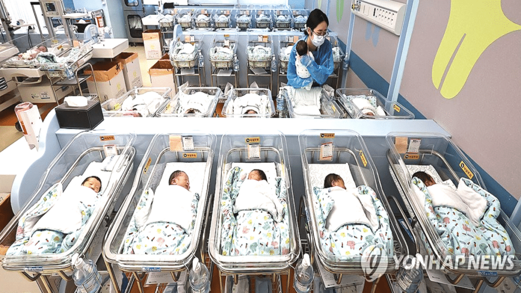 7년 만에 가장 많은 1월 출생아…저출산 반등인가, 반짝 효과인가 1 2026년 1월 출생아 수