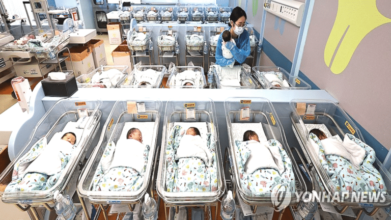 2026년 1월 출생아 수