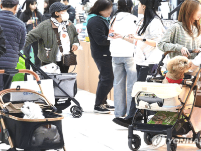 K-반려동물 기업, 해외 수출